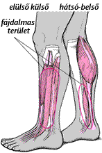 emberi vállízület kezelése hogyan lehet csökkenteni az ízületi fájdalmakat lapos lábakkal