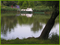 csefusz