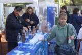 tartsd__formad_016.jpg