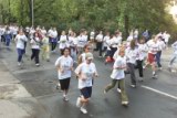 tartsd__formad_040.jpg