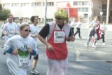 tartsd__formad_042.jpg