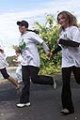 tartsd__formad_056.jpg