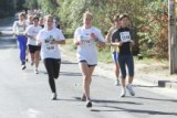 tartsd__formad_091.jpg