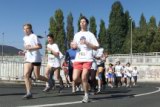tartsd__formad_104.jpg