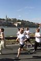 tartsd__formad_163.jpg