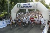tartsd_a_formad_281.jpg