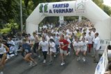 tartsd_a_formad_282.jpg