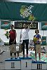 canada_dry_5_210.jpg